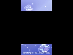 plaque arrière turbo